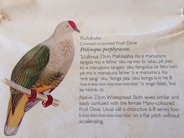 image5.jpeg