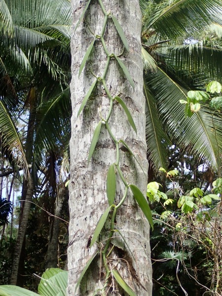 image4.jpeg
