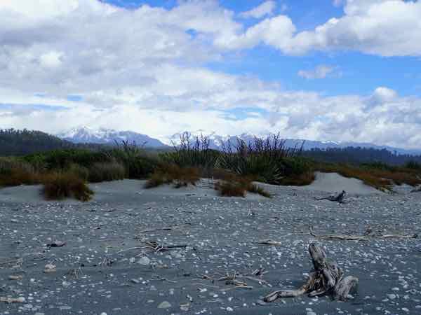 image8.jpeg