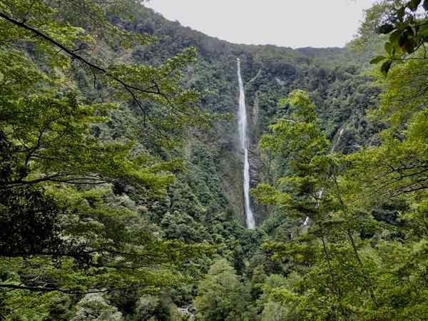image6.jpeg