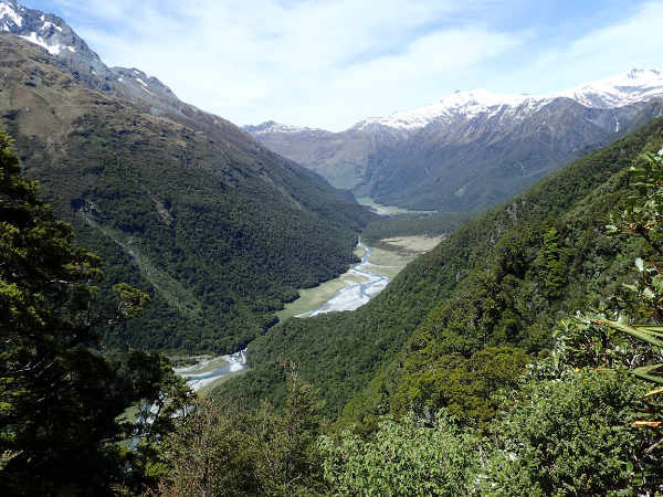 image5.jpeg
