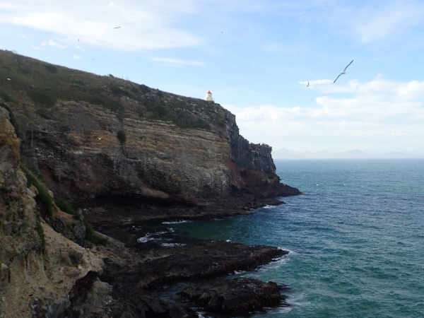 image6.jpeg