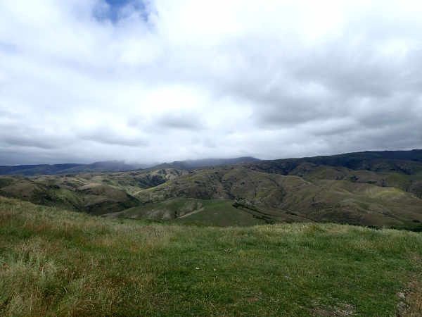 image4.jpeg