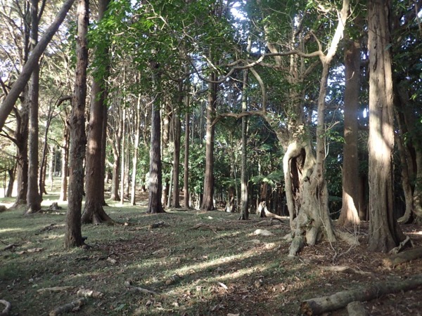 image20.jpeg