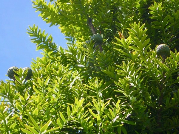 image22.jpeg