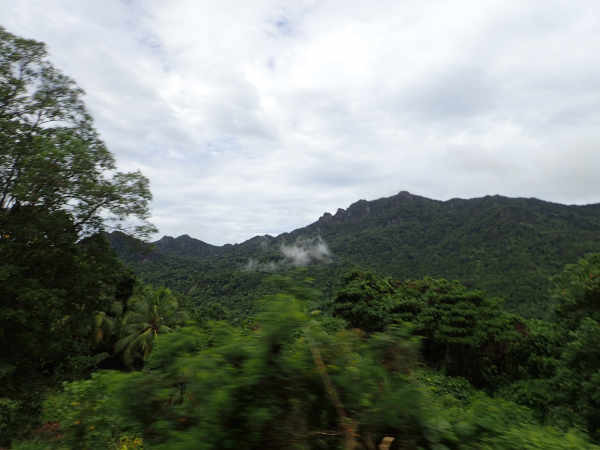 image2.jpeg