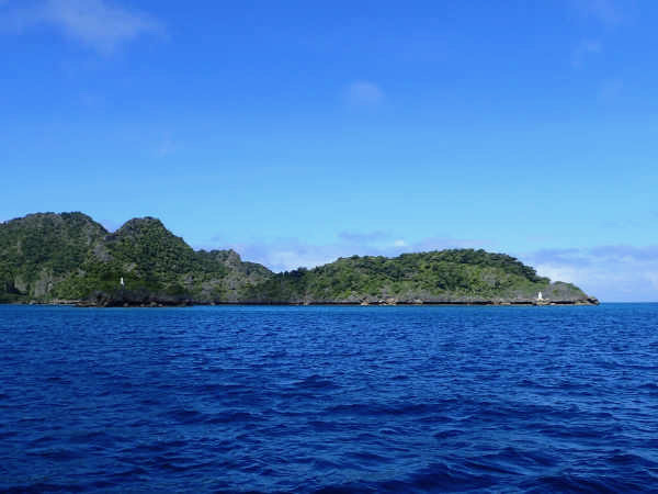 image4.jpeg