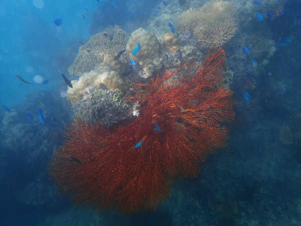 image5.jpeg