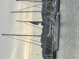 IMG_0255.jpeg