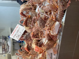 IMG_4732.jpeg