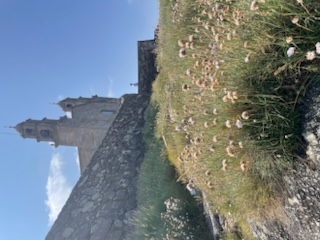 IMG_2670.jpeg