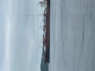 IMG_2721.jpeg