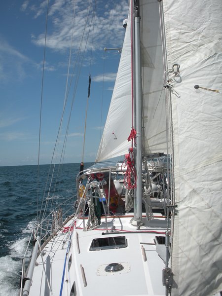 m_DSCN0309.jpg