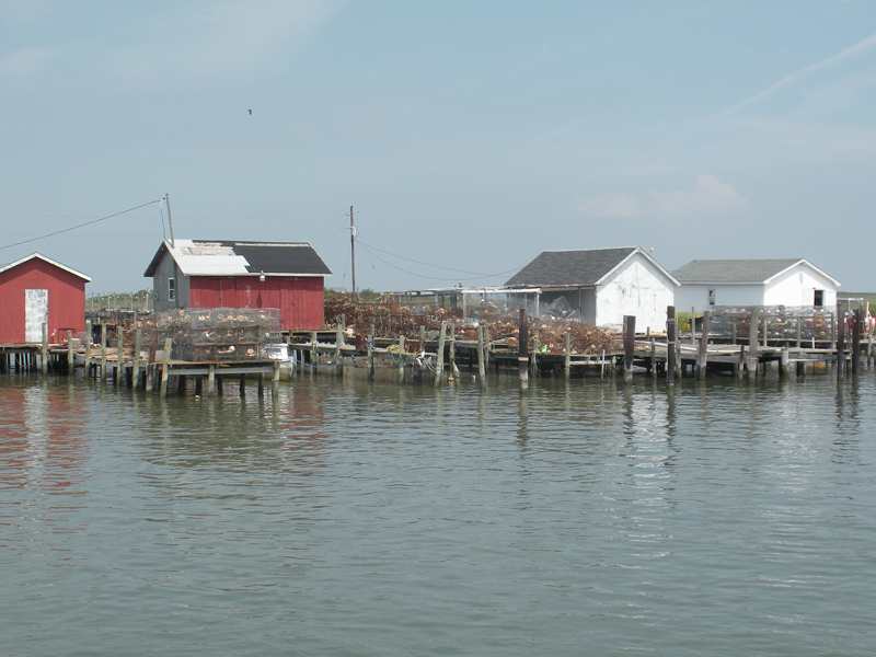 m_DSCN0446.jpg