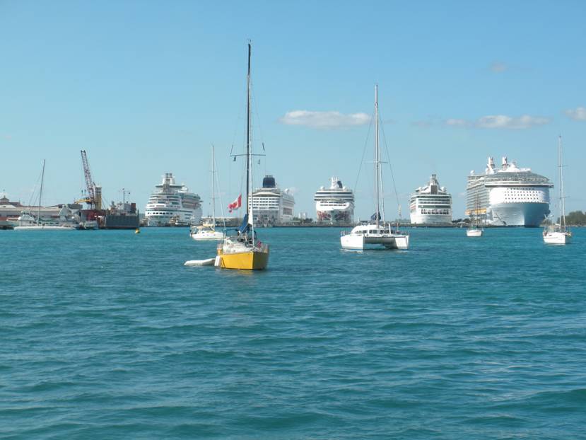 DSCN0709.JPG