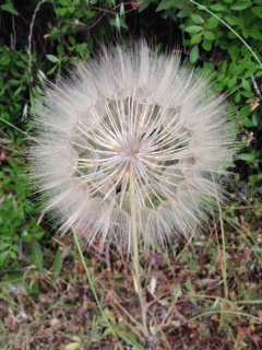 image2.jpeg