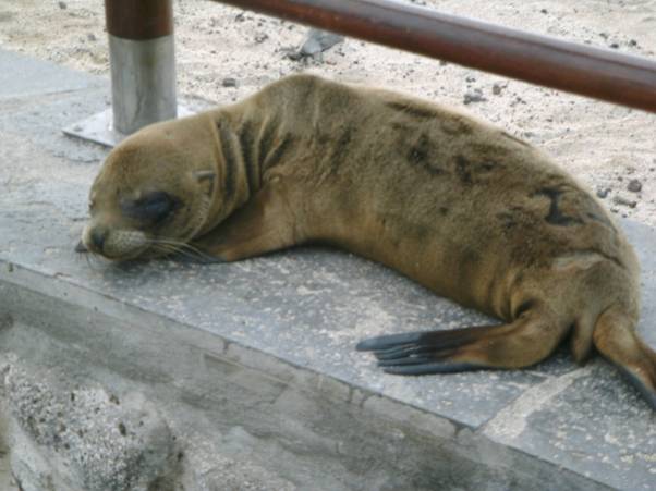 2010_01290083.JPG