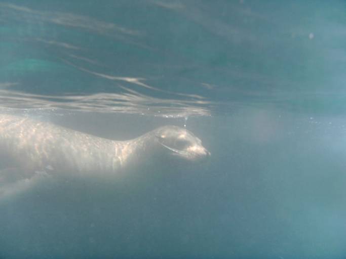PICT1633.JPG