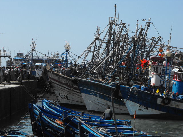 more boats
