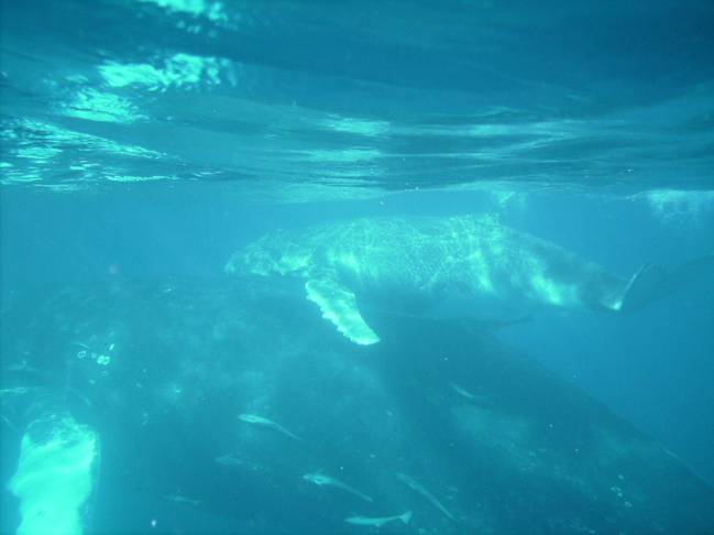PICT0123.JPG