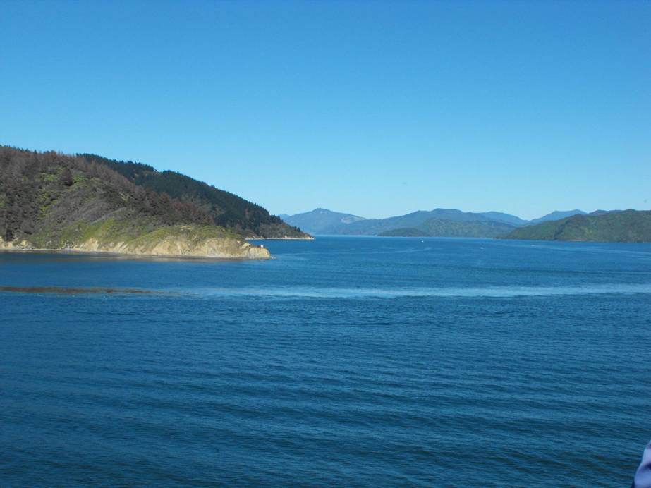 2011_0127ZealandNew0069.JPG