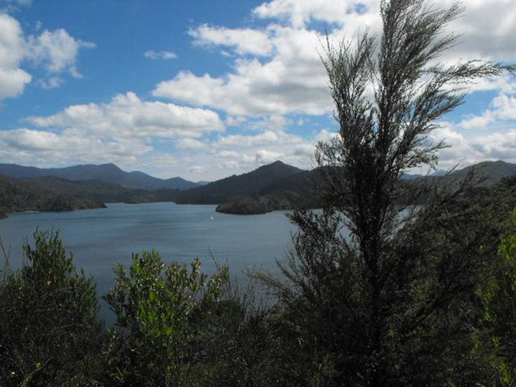 M Queen Charlotte Sound 74.JPG
