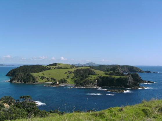 Bay of Islands - Paradise Bay walk 13.JPG