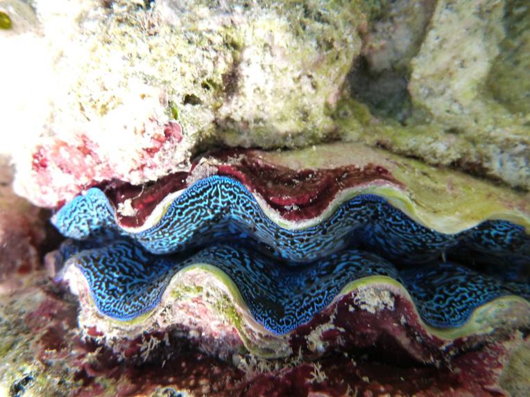 P1020127.JPG