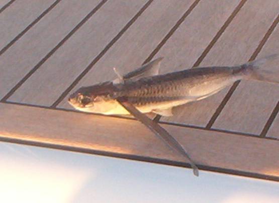 2008_11300076.JPG
