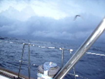 2008_12060031.JPG