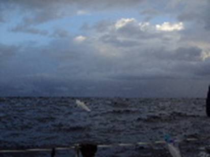 2008_12060037.JPG