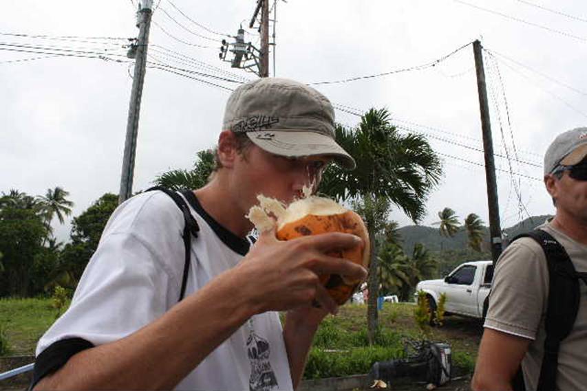 Drinking Young Coconut.JPG