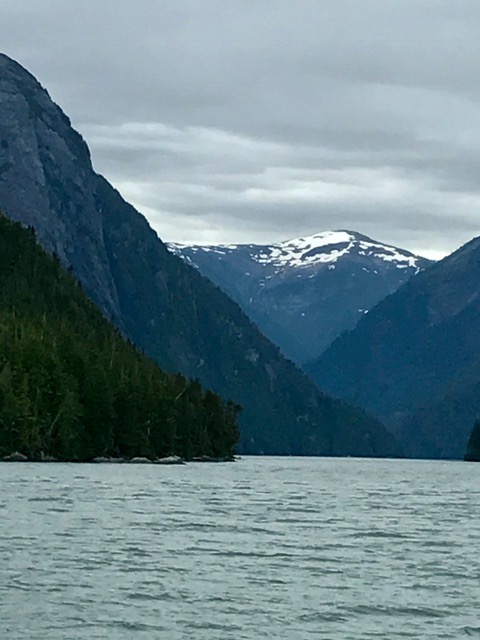 image2.JPG