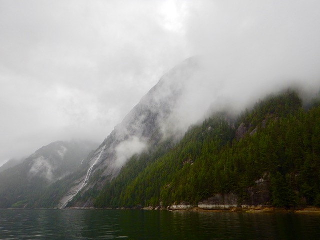 image1.JPG