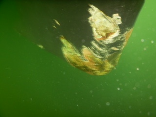 image6.jpeg