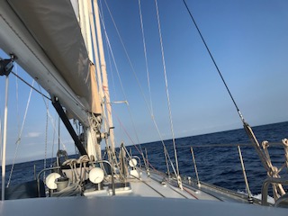 image1.jpeg