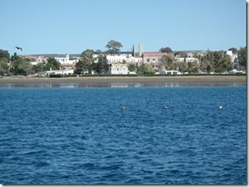 PB030067