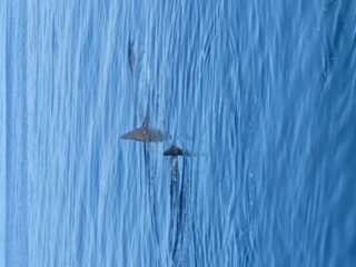image2.jpeg