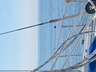 image1.jpeg