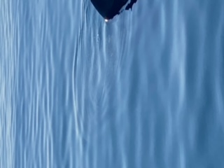image3.jpeg