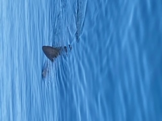 image4.jpeg
