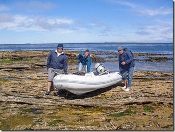 Elephant Seals 004