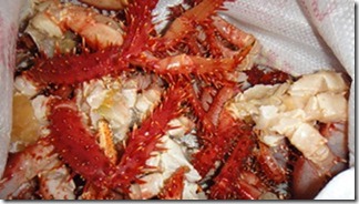 m_DSC04550
