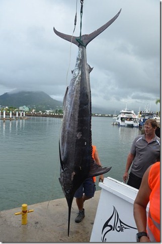 Tour Fish Market 023