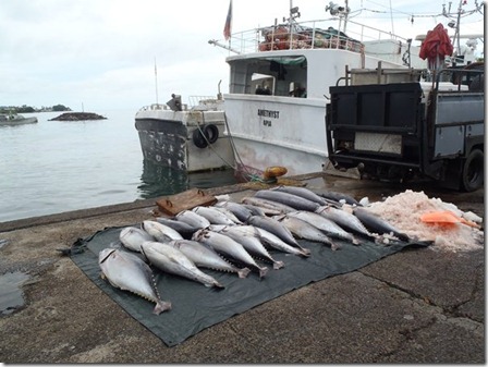 Tour Fish Market 315