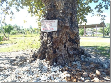 Vava'u 008