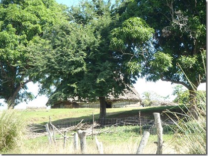 Copy of P6160016