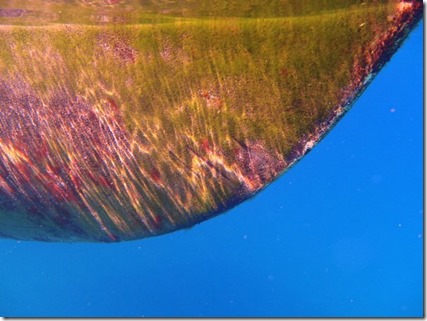 P6280407