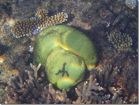 P6280342