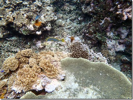 P7260261